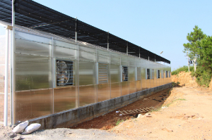 湖南郴州嘉禾秀才生態園（陽光板連棟智能溫室）